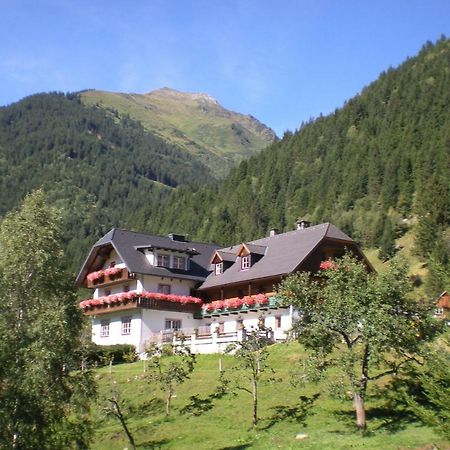 Вилла Biobauernhof Spieszschweiger Sankt Nikolai im Solktal Экстерьер фото