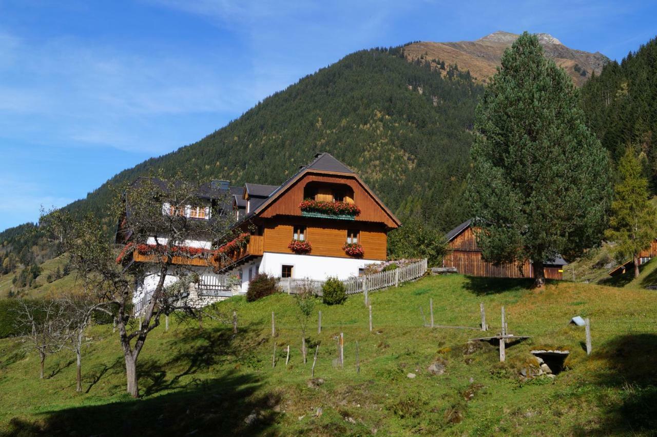 Вилла Biobauernhof Spieszschweiger Sankt Nikolai im Solktal Экстерьер фото