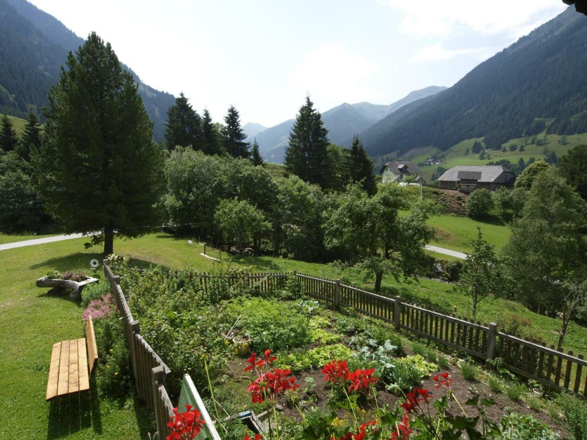 Вилла Biobauernhof Spieszschweiger Sankt Nikolai im Solktal Экстерьер фото