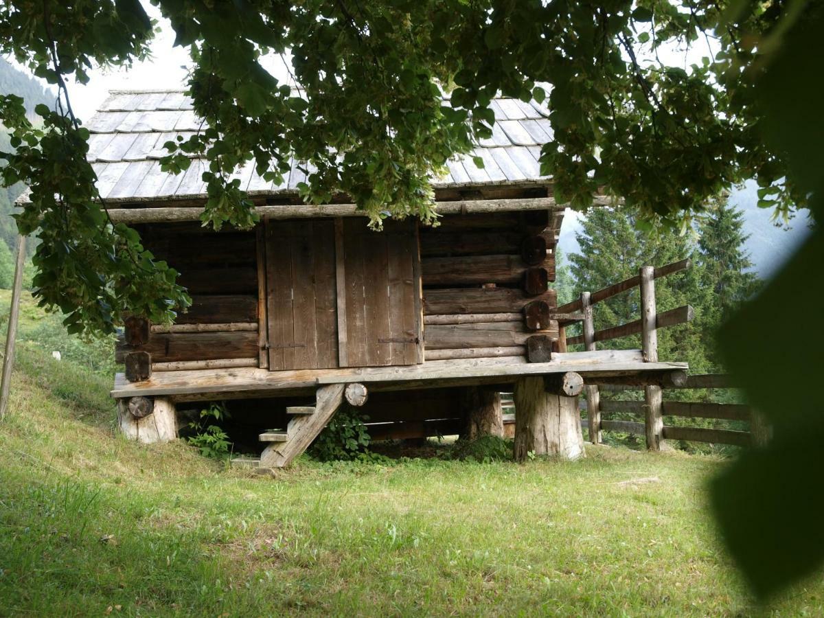Вилла Biobauernhof Spieszschweiger Sankt Nikolai im Solktal Экстерьер фото