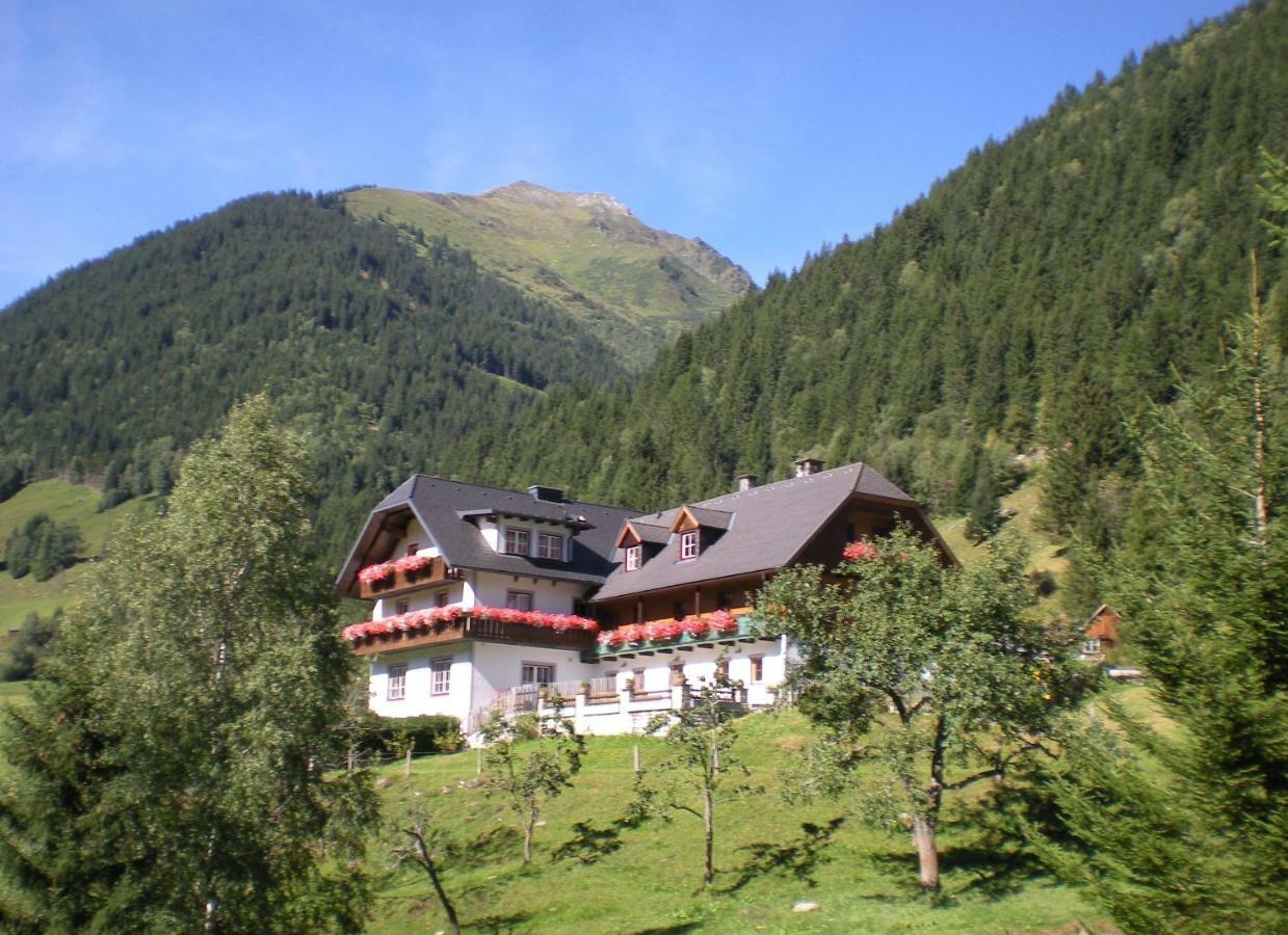 Вилла Biobauernhof Spieszschweiger Sankt Nikolai im Solktal Экстерьер фото