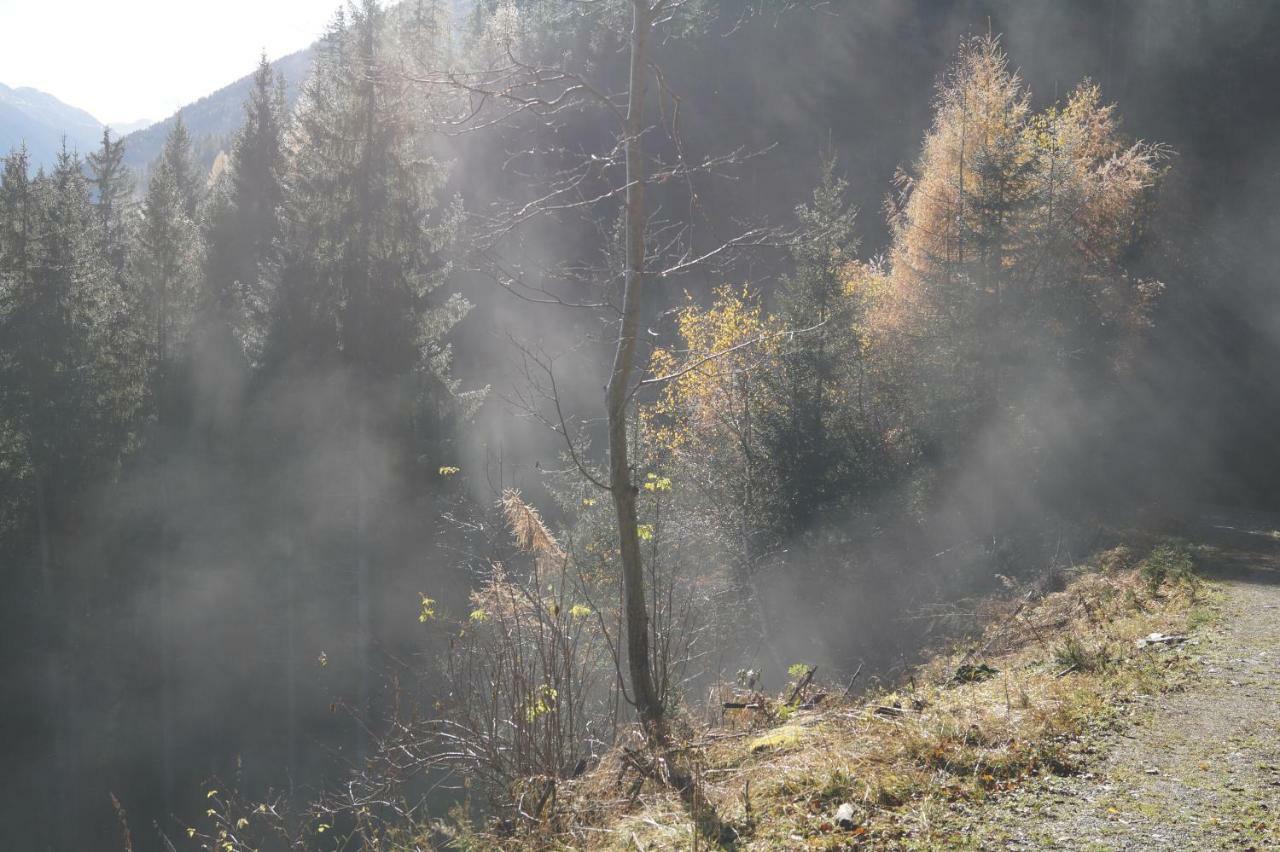 Вилла Biobauernhof Spieszschweiger Sankt Nikolai im Solktal Экстерьер фото